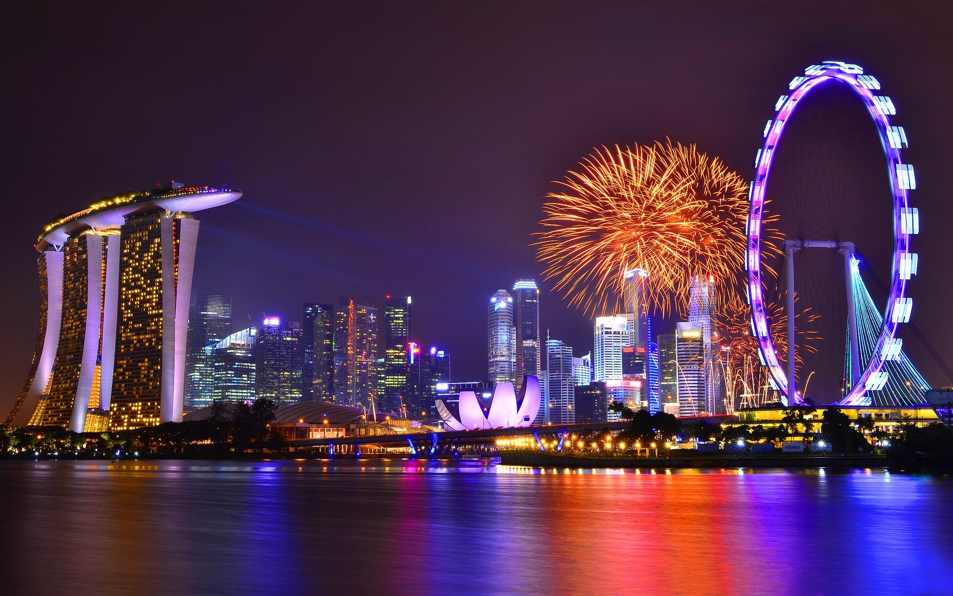 22-229441_singapore-ferris-wheel-at-night.jpg