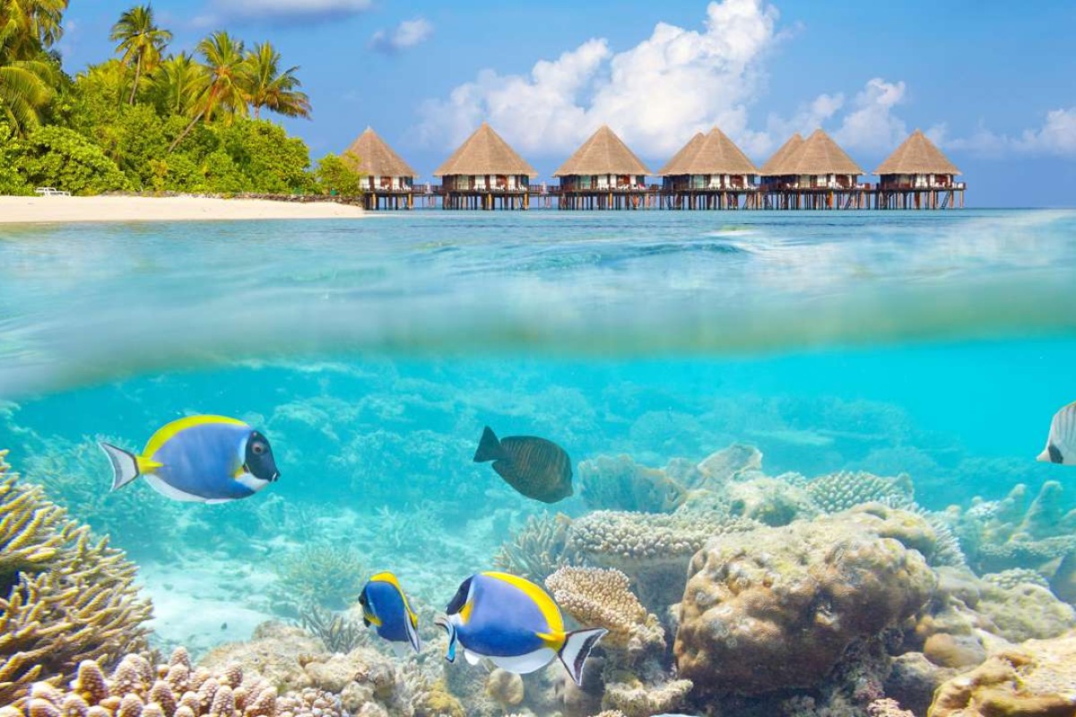 تورهای مالدیو