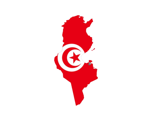 ویزای تونس (Tunisia)